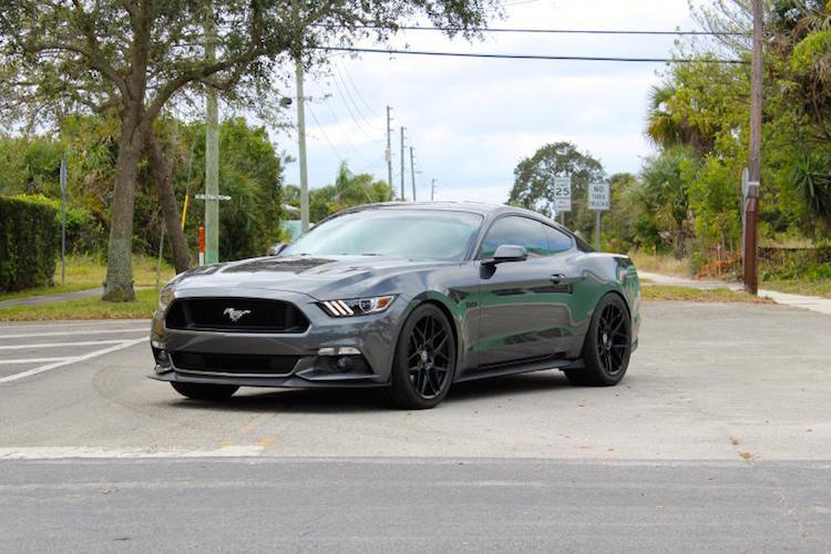 Magnetic 2015 Mustang GT | 2015+ Mustang Forum News Blog (S550 GT