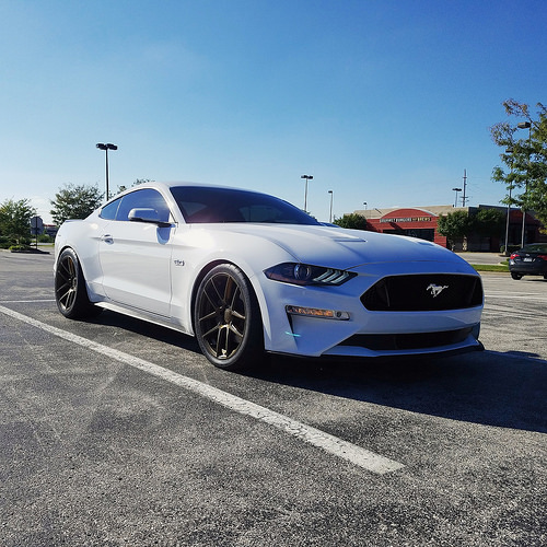 2018 Jenna White GT build | 2015+ S550 Mustang Forum (GT, EcoBoost ...