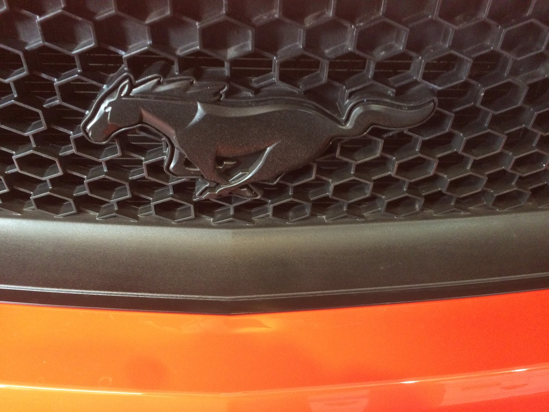 Help With Black GT Deck Lid Emblem Part Number ? | 2015+ S550 Mustang ...