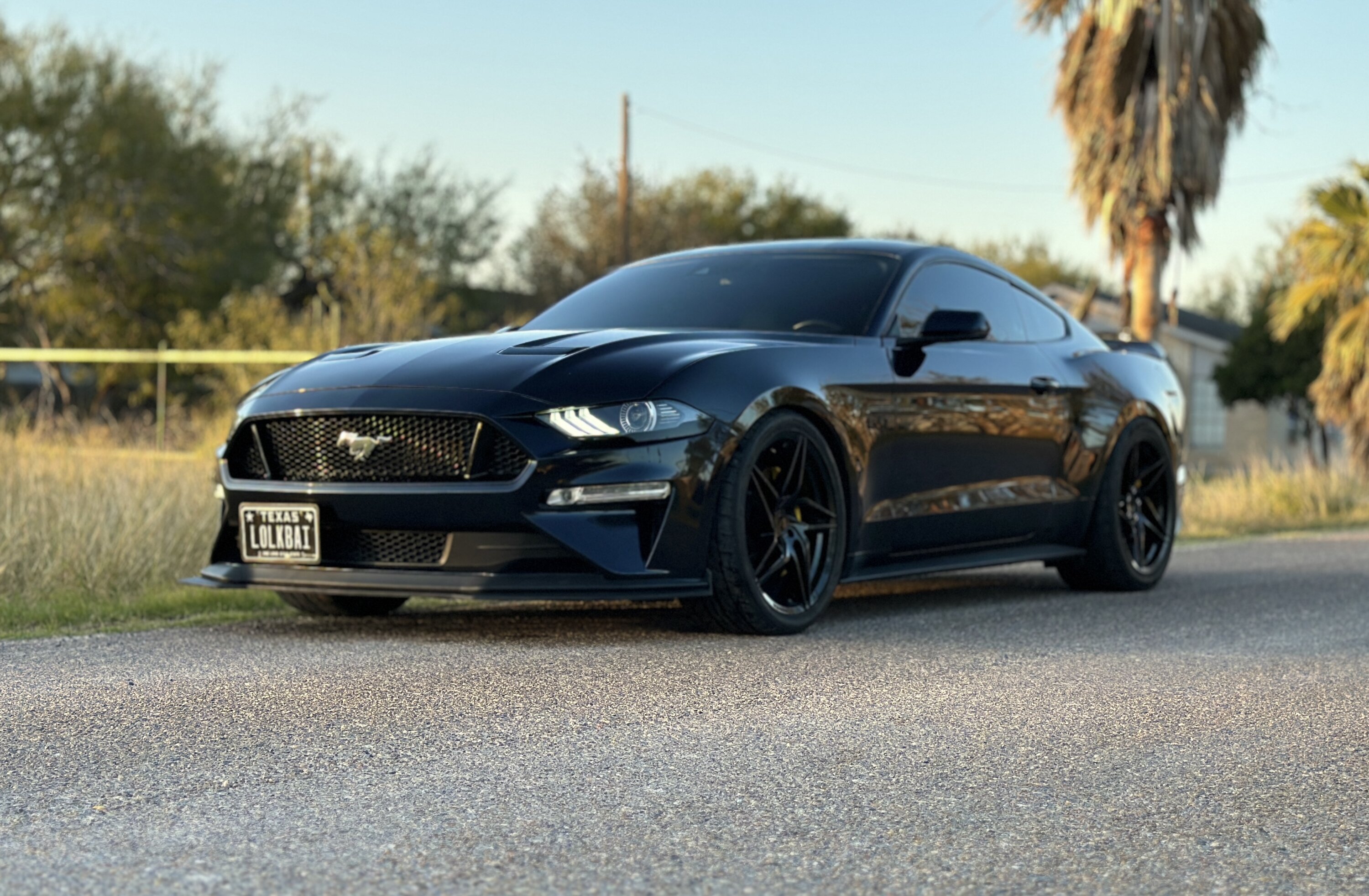ANTIMATTER BLUE S550 MUSTANG thread | Page 7 | 2015+ S550 Mustang Forum ...