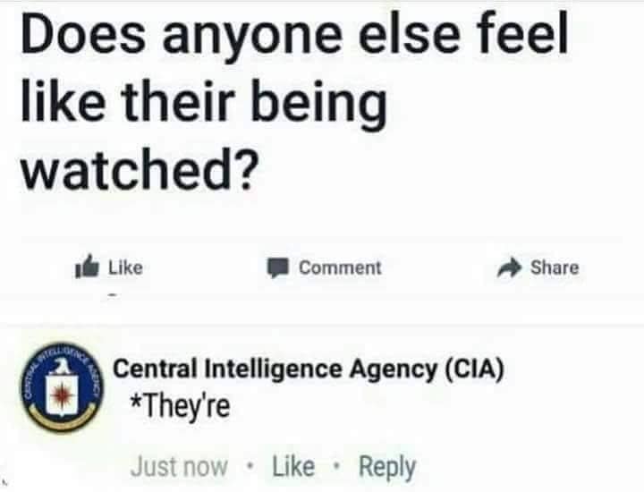 gence-agency-cia-theyre-just-now-like-reply-adency.jpg