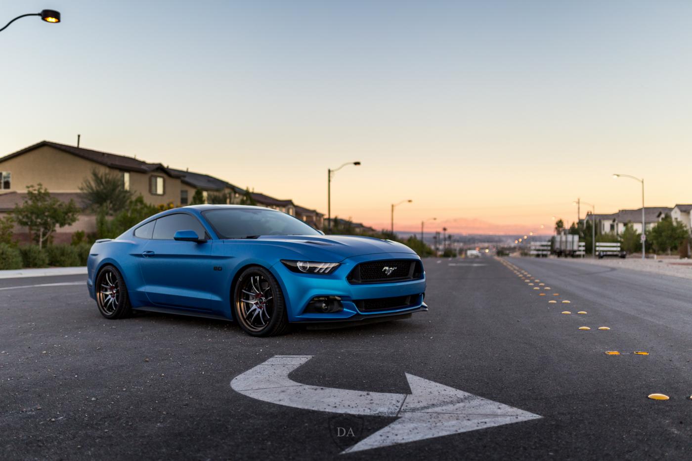 Mustang-1.jpg