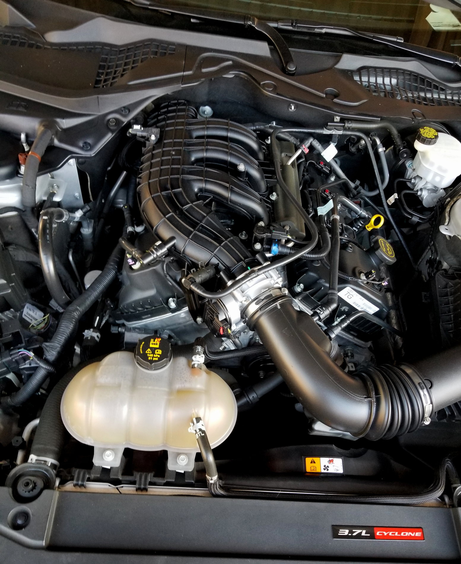 How to Steam Clean The Engine Bay [Photo Guide] 