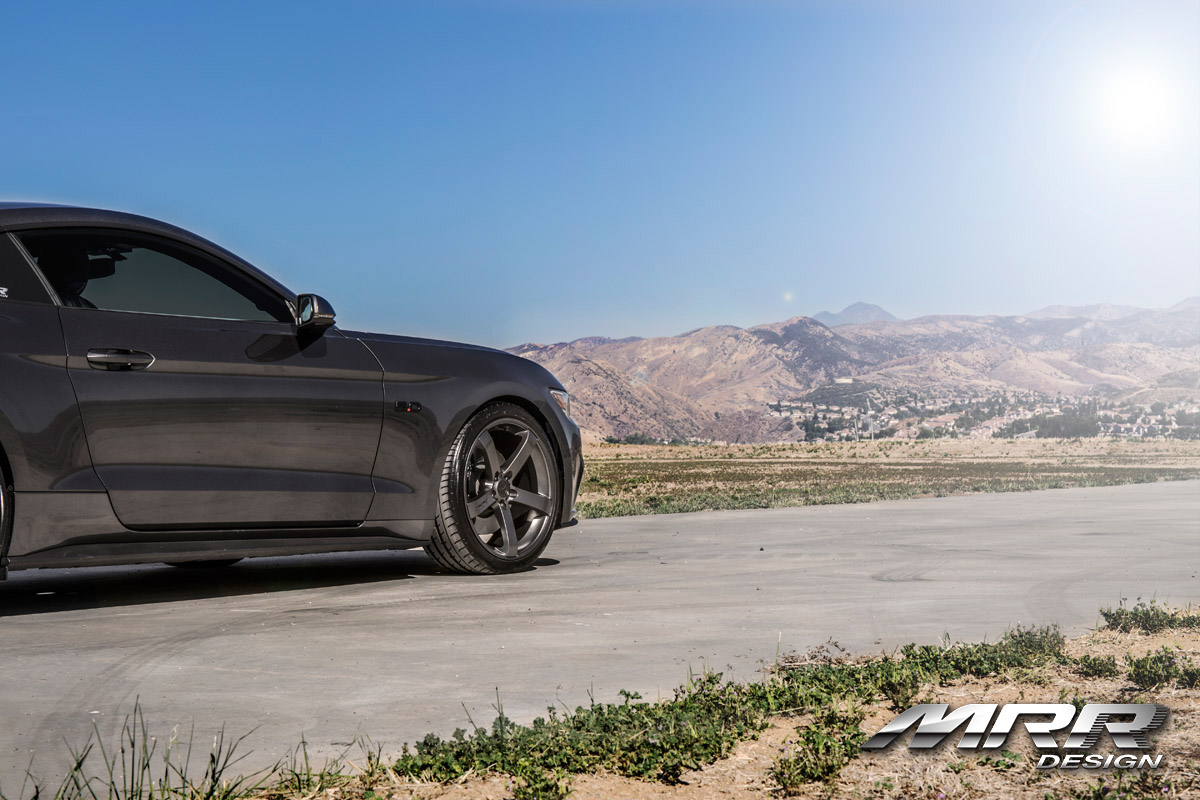 Mustang6.jpg