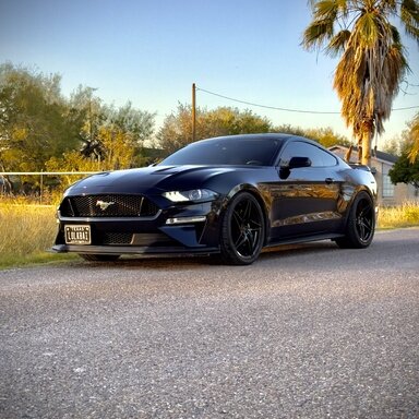 Roof mount and roof box. | 2015+ S550 Mustang Forum (GT, EcoBoost ...