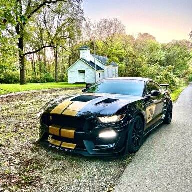 Adam's Memorial Day Sale! New Apple Scented Detail Spray, 15% Off & New  32oz Bottles!  2015+ S550 Mustang Forum (GT, EcoBoost, GT350, GT500,  Bullitt, Mach 1) 