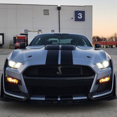 2022 GT500 Heritage Edition with painted stripes | Page 7 | 2015+ S550 ...