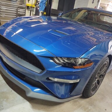 Automotive Trash Talk (Humor)  2015+ S550 Mustang Forum (GT, EcoBoost,  GT350, GT500, Bullitt, Mach 1) 