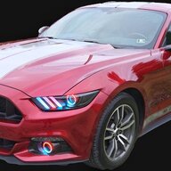 Ruby Red spray paint?  2015+ S550 Mustang Forum (GT, EcoBoost, GT350,  GT500, Bullitt, Mach 1) 