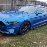 Cyclone, Mustang Or Something Else -  Forum