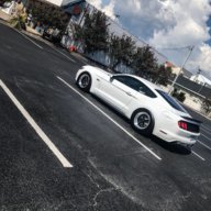 White5.0ut