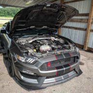 Brake fluid for 17' GT350 and other service stuff?