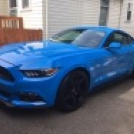 grabber blue mustang