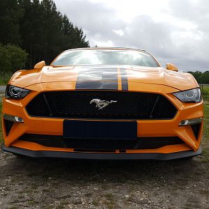 Mustang 2019 GT Convertible