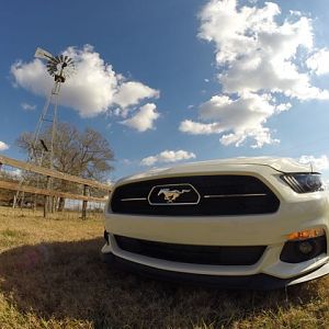 2014.12.12 Mustang Ride   09