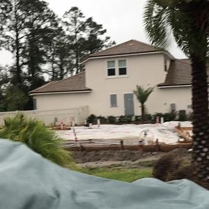 Mustang covered during hurricane