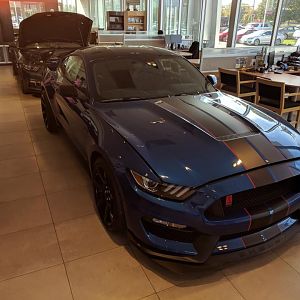 GT350R