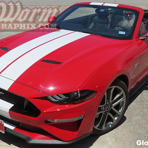 2018 Convertible Narrow Full Length Stripes in Gloss White
https://www.bigwormgraphix.com/2018-mustang-narrow-dual-full-length-stripes.html