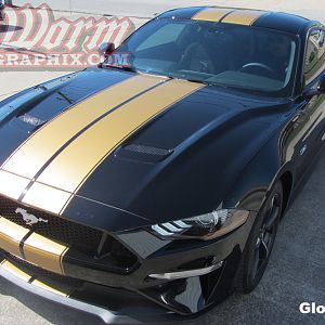 2018 Mustang Pinstripe Dual Full Length Stripes in Gloss Gold
https://www.bigwormgraphix.com/2018-mustang-pinstripe-dual-full-length-stripes.html