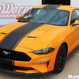 2018 Mustang Supersnake Style Stripes in Matte Black
https://www.bigwormgraphix.com/2018-mustang-supersnake-style-full-length-stripes.html