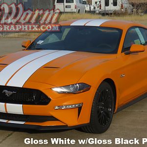 2018 Mustang Wide Dual Stripes gloss white w/ gloss black pinstripe
https://www.bigwormgraphix.com/2018-mustang-wide-dual-full-length-stripes.html