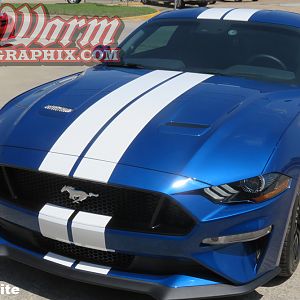 2018 Mustang Gloss White Wide Stripes
https://www.bigwormgraphix.com/2018-mustang-wide-dual-full-length-stripes.html