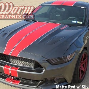 2015/17 Mustang with 6G Full Length Stripes - Matte Red w/ silver pinstripe
https://www.bigwormgraphix.com/2015-17-mustang-6g-full-length-stripes.htm