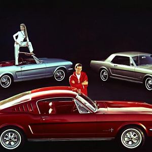 1965 ford mustangs