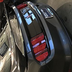 Shelby Rear