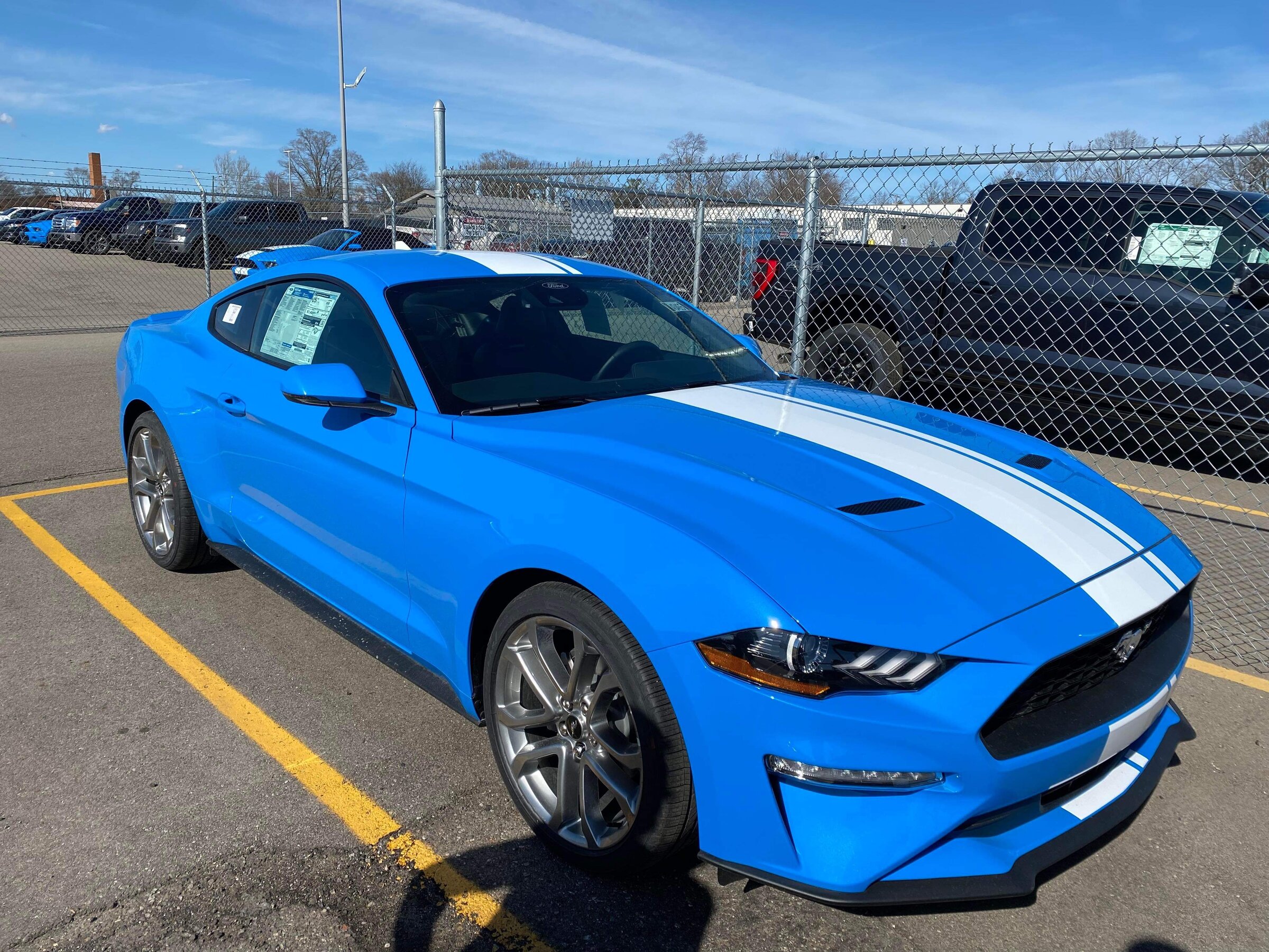2022 Grabber Blue METALLIC in the sun! 2015+ S550 Mustang Forum (GT